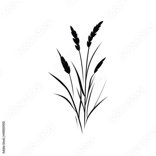 Fototapeta Black Silhouette of Grasses and Grain Stalks on Transparent Background