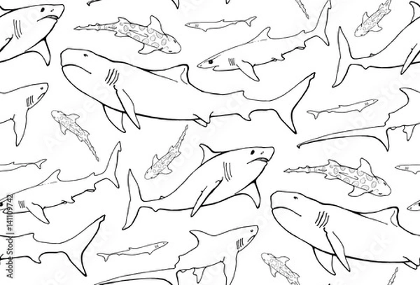 Obraz seamless pattern with  shark contours on white background