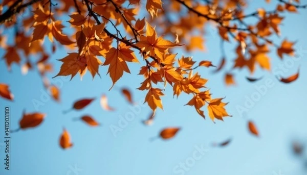 Fototapeta The gentle breeze carries a flurry of burnt orange and amber leaves through the air, swirling and twirling in a mesmerizing dance before settling on the earth.