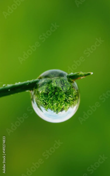 Fototapeta  Droplet Magnifies Grass Blade with Inverted Landscape, Nature's Miniature Mirror Creating Prismatic Effects.
