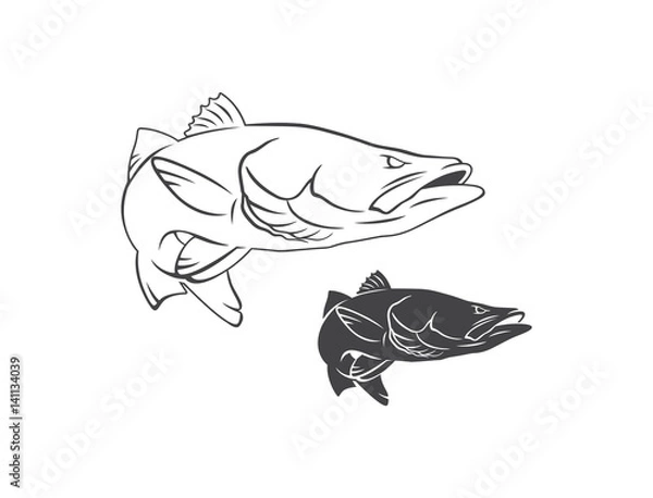 Obraz Common snook fish