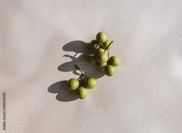 Obraz olives on a branch