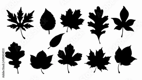 Fototapeta set of autumn leaves silhouette vector on white background