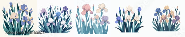 Obraz Vector collection of a flower that looks beautiful and pretty with colorful petals