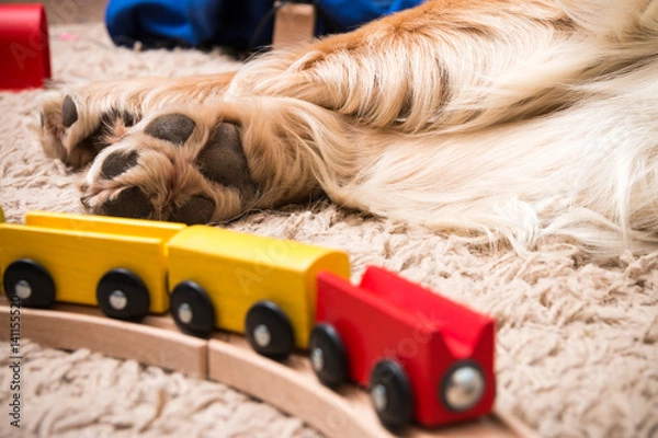 Obraz Dog and train