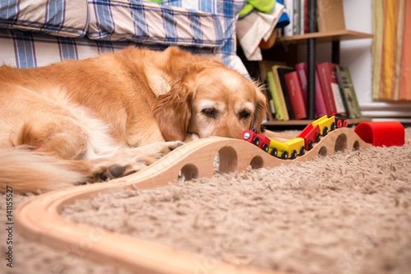 Obraz Dog and train