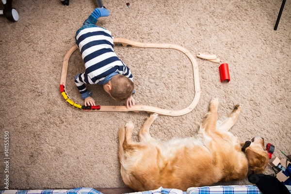 Obraz Boy, dog, train