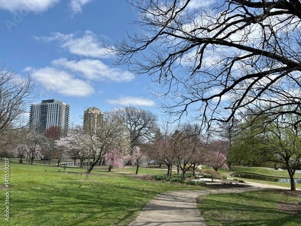 Obraz Curved park path with blooming trees at Eden Park in Cincinnati