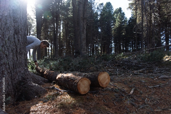 Obraz Man handling cut logs in forest in South Tyrol, Dolomites