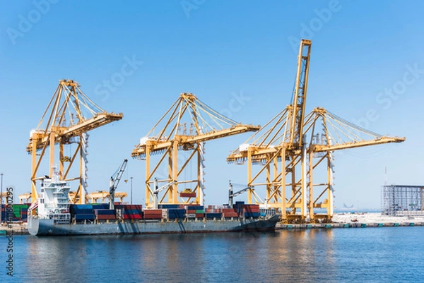 Fototapeta Container terminal in Jebel Ali, tall gantry cranes over berthed cargo ships in the port during cargo operations.