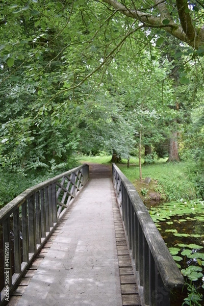 Fototapeta Pathway