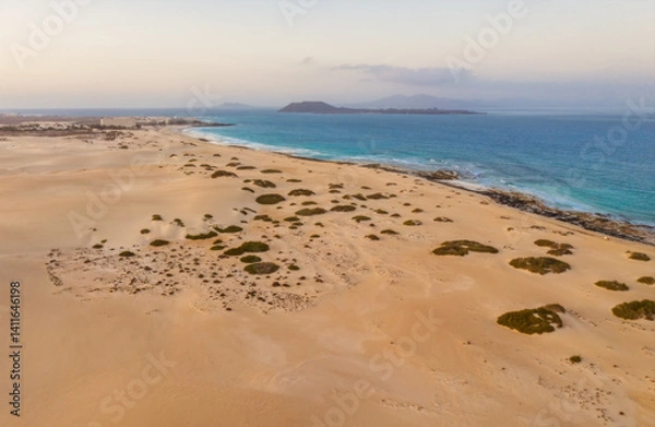Fototapeta High angle view of road going through Corralejo dunes nature park in Fuerteventura. Aerial drone shot in october 2019