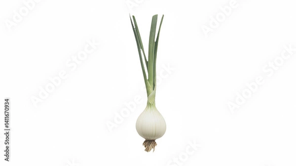 Fototapeta a bulb of an onion hanging from a on a transparent background, PNG image, PNG file, Generative art.