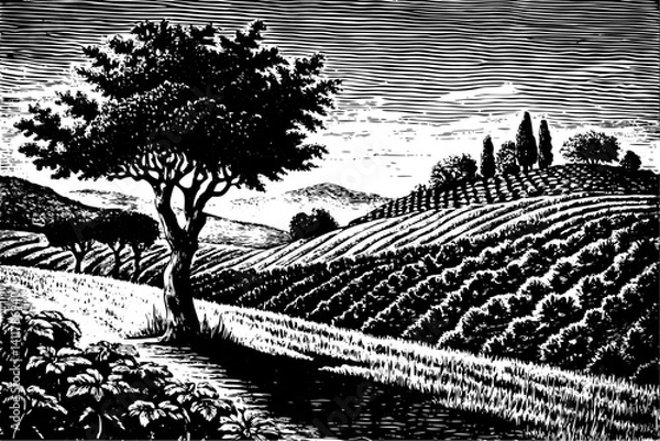Fototapeta Black and White Countryside Landscape with Tree and Fields