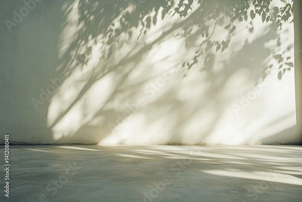 Obraz Light and shadow play on a wall and floor nature's art