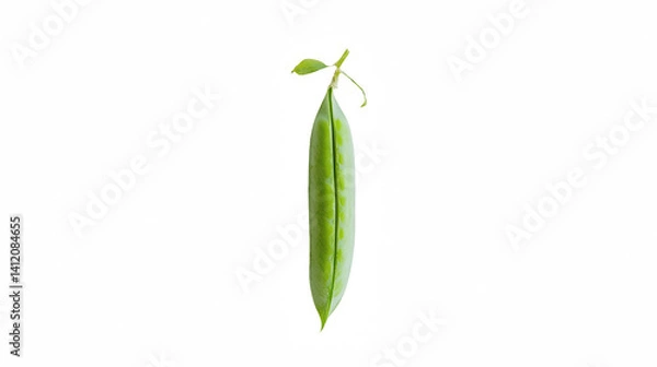 Fototapeta a green leaf hanging from a on a transparent background, PNG image, PNG file, Generative art.