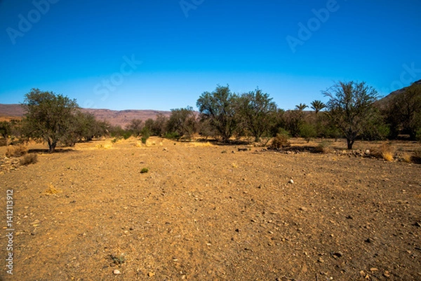 Obraz 2024 03 16 Jebel Saghro Atlas tree 25