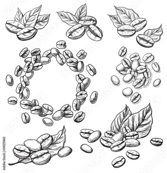 Fototapeta coffee grains and leaves in graphic style hand-drawn vector illustration.