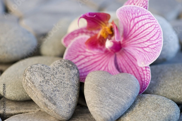 Obraz Orchidee und Steinherzen