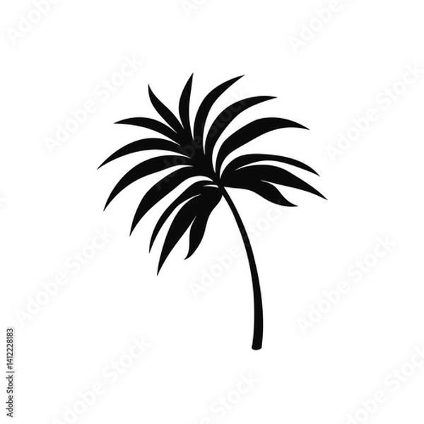Fototapeta palm trees silhouette