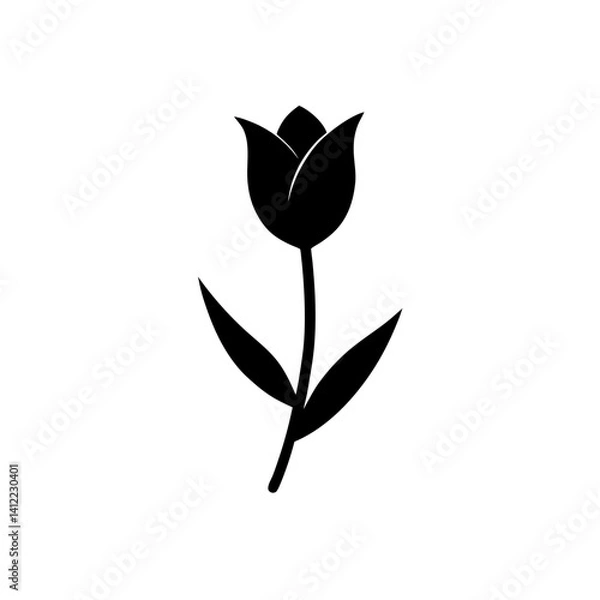 Fototapeta black and white tulip