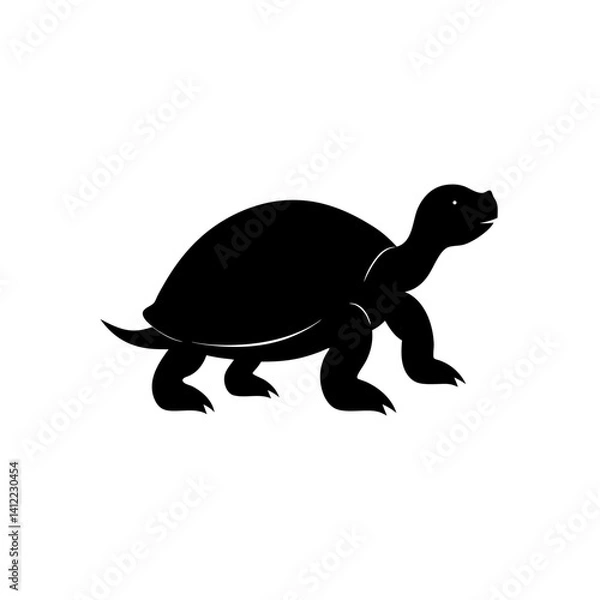 Fototapeta turtle on a white background