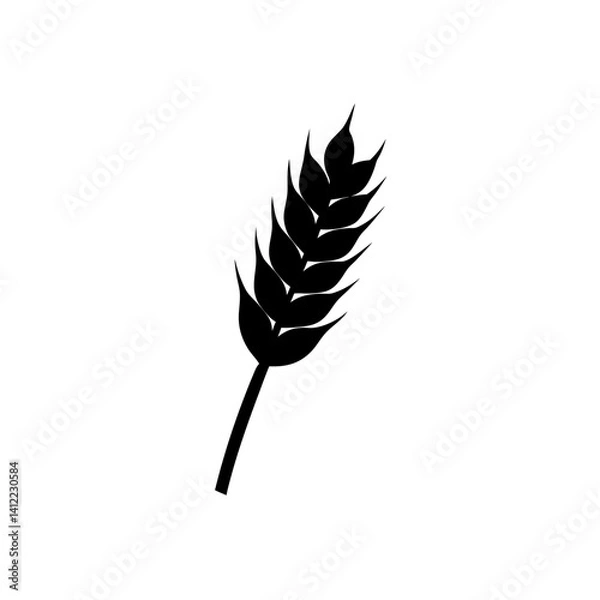 Fototapeta wheat isolated on white background