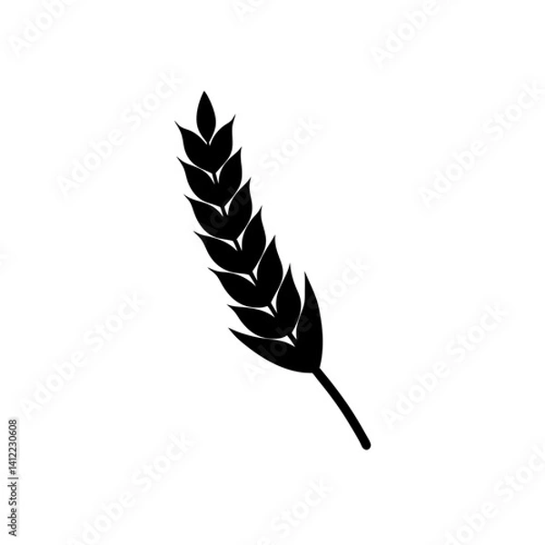 Fototapeta feather vector illustration