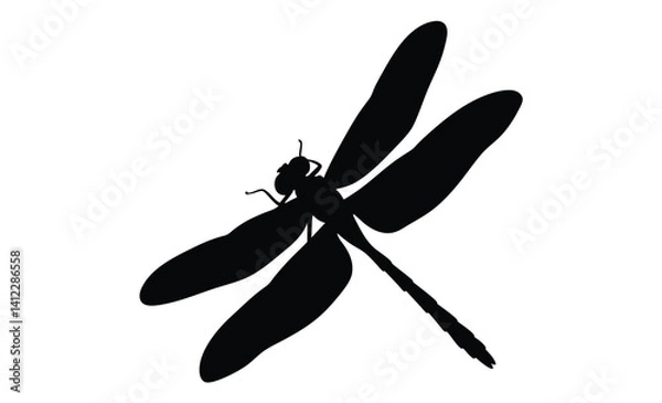 Obraz Dragonfly silhouette, Insect icon vector, Damselfly black graphic, Flying bug illustration
