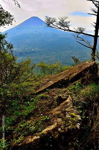 Fototapeta 御坂山地の吉沢山より夏の富士山を眺める
