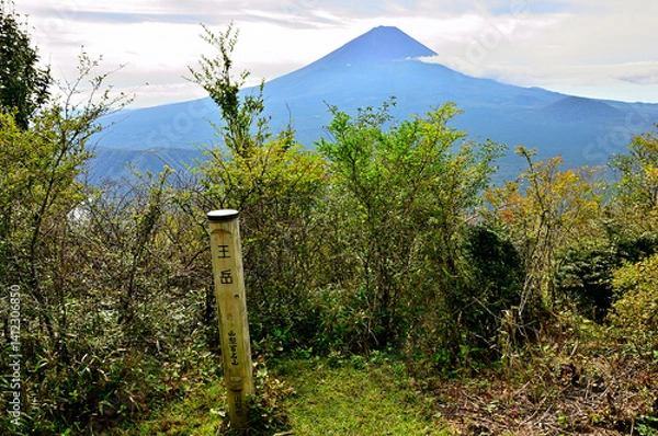 Obraz 御坂山地の王岳山頂より望む夏の富士山　山梨百名山
