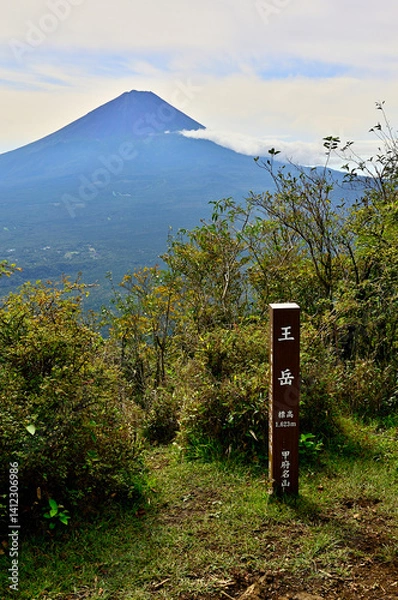 Obraz 御坂山地の王岳山頂より望む夏の富士山　甲府名山
