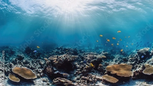 Obraz Coral reef underwater panorama with tropical fish