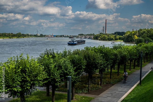 Fototapeta Rhein bei Köln-Wesseling