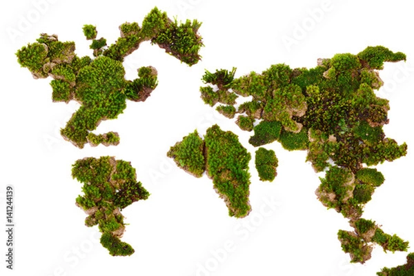 Fototapeta Map world made from green moss isolated on white background.