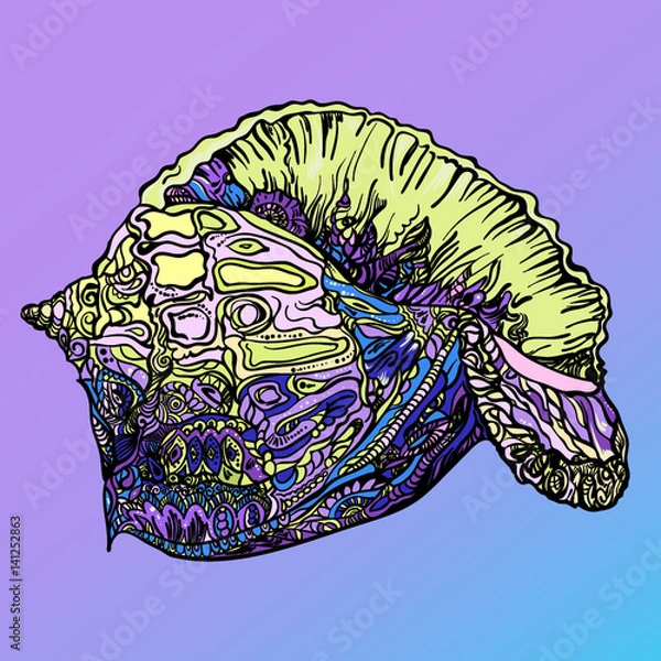 Obraz shell marine zendala stained 