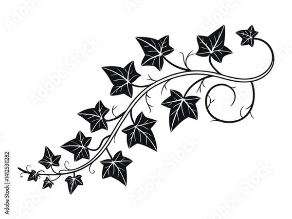 Fototapeta ivy vine design element, minimalistic vector of leaves in outline, plant stem or tree branch clip-art, pretty curving floral design isolated on white background, decorative wedding invitation art