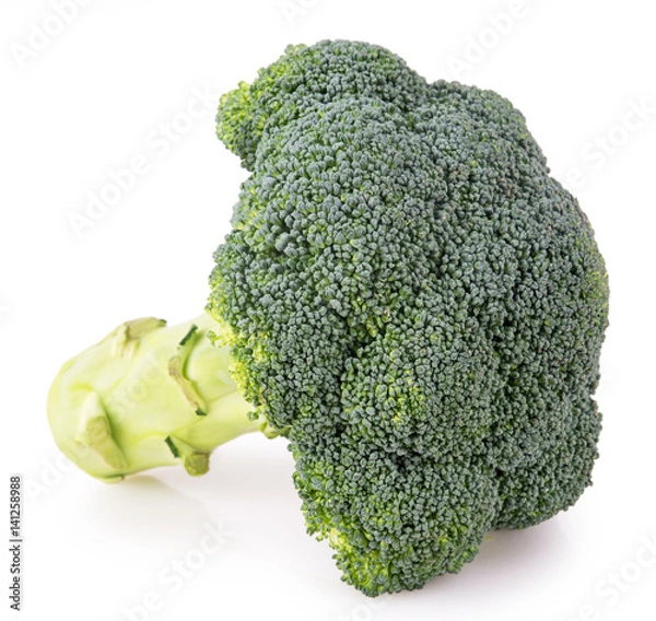 Obraz One broccoli close on a white background