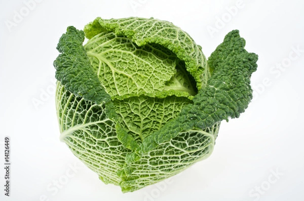 Fototapeta Wirsingkohl