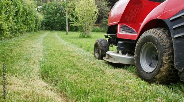 Fototapeta Ścinać trawę