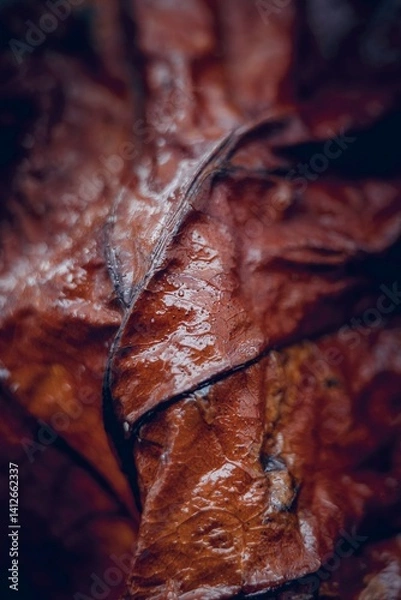 Fototapeta Close-up of a wet autumn leaf showing rich texture and earthy tones.