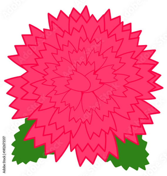 Fototapeta 카네이션