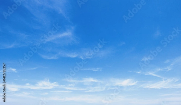 Fototapeta sky is blue and clear with no clouds