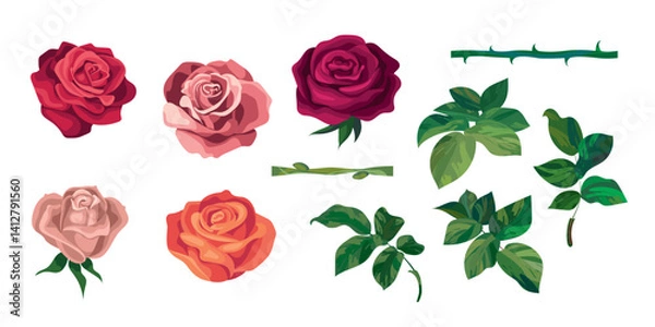 Fototapeta A set of rose flowers with leaves and stems. Botanical illustration. You can make a vector brush from the stems. 