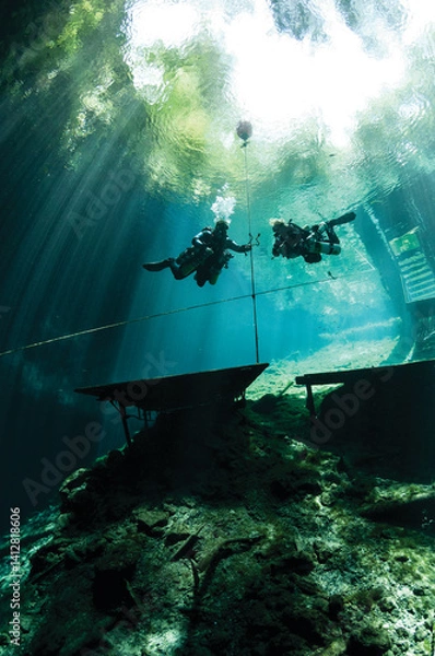 Obraz Scuba Diving | Marine life | Diver | Ocean