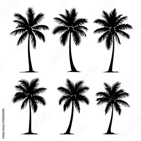 Obraz Palm trees silhouettes