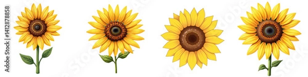 Obraz Collection of Sunflower Illustrations Isolated on Light Background