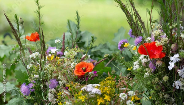 Fototapeta Gathering wildflowers on midsummer day, symbol of seasonal renewal, solstice. Mixed bouquet with poppies, daisies, yarrow, cornflowers, oak leaves, meadow greens, summer folklore, rustic charm