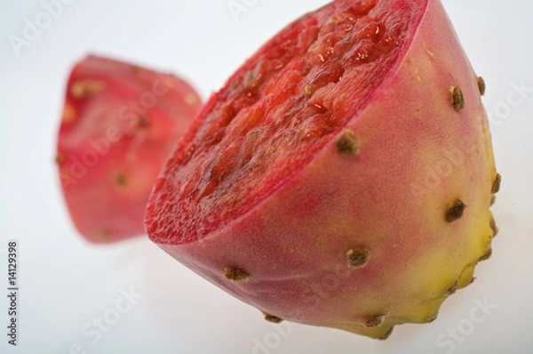 Fototapeta Kaktusfeige