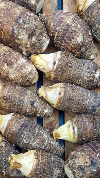 Fototapeta Fresh taro roots stacked on wooden crate
